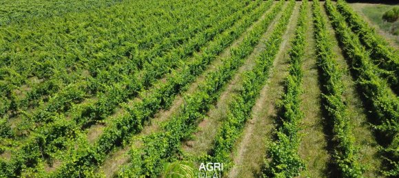 Земельный участок 34910м² в Чистерна Ди Латина, Италия № 258448 6