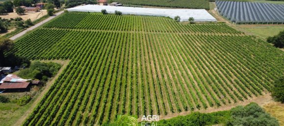 Земельный участок 34910м² в Чистерна Ди Латина, Италия № 258448 8