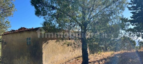 Studio in Pollica, Italy, Nr. 281363 8