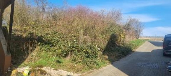 Grundstück in Alzey-Worms, Germany 239m², Nr. 287233 2