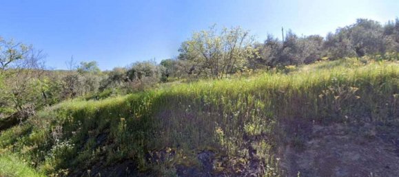 Grundstück in Panicale, Italy 8960m², Nr. 134030 2