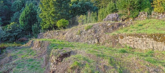 3 Schlafzimmer Haus in Ponte de Lima, Portugal, Nr. 27042 18