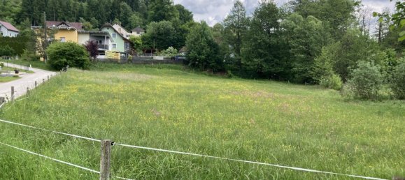 2000m² Land in St. Georgen am Langsee, Austria No. 128809 2