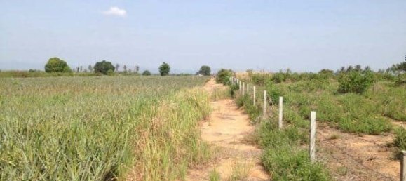 Terreno em Hua Hin, Thailand N.º 58897 3