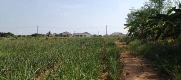 Terreno em Hua Hin, Thailand N.º 58897 8