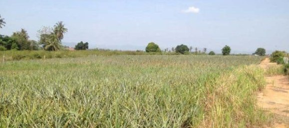 Terreno em Hua Hin, Thailand N.º 58897 2