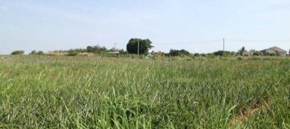 Terreno em Hua Hin, Thailand N.º 58897 7