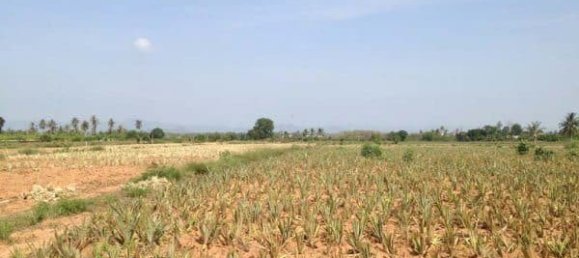 Terreno em Hua Hin, Thailand N.º 58897 9