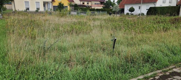 Terreno em Forchheim, Germany N.º 265542 3