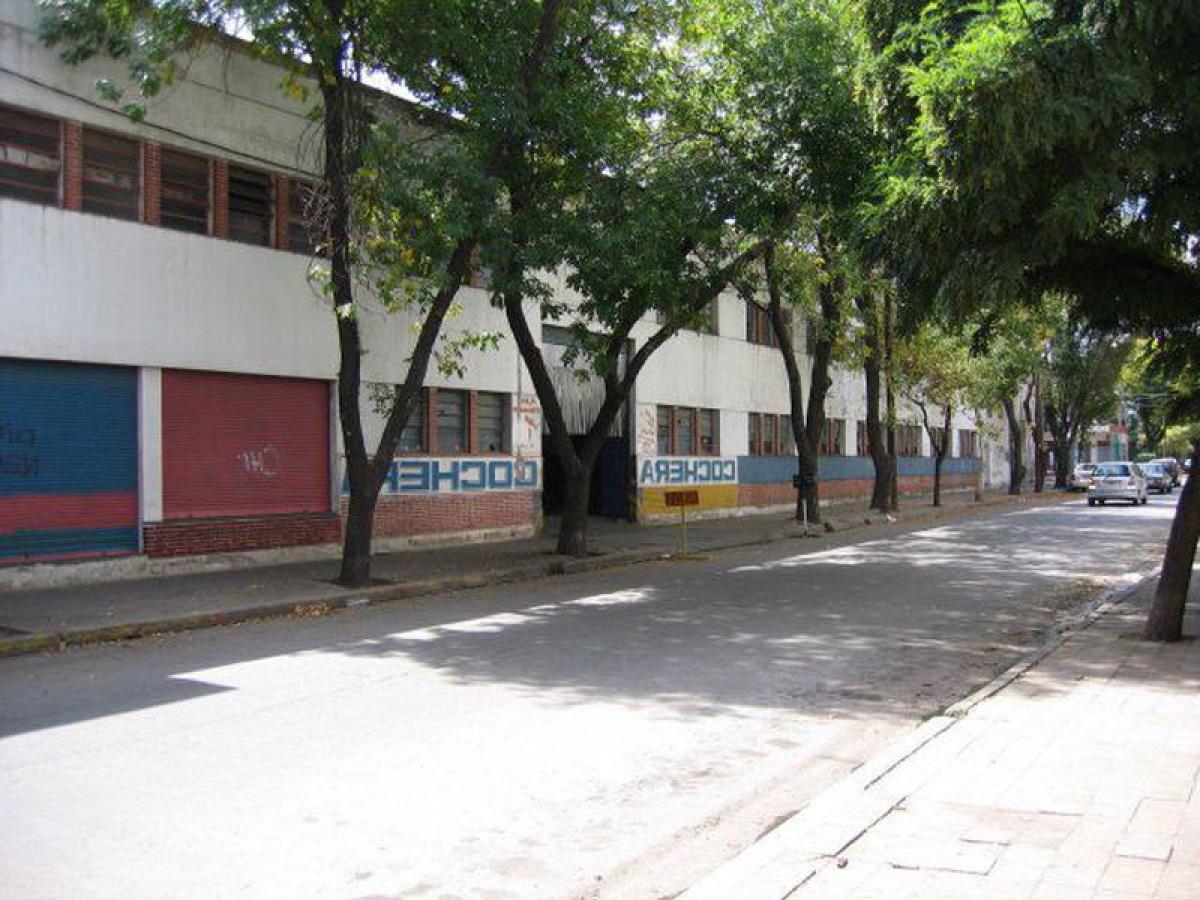  Land in San Luis, Argentina No. 31673