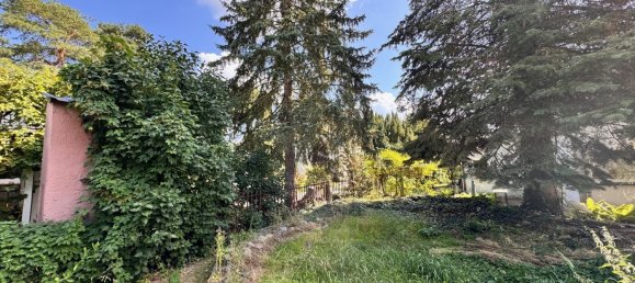 1 bedroom Land in Potsdam, Germany No. 284882 12