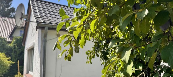 1 bedroom Land in Potsdam, Germany No. 284882 18