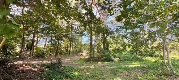 1 bedroom Land in Potsdam, Germany No. 284882 10