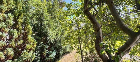 1 bedroom Land in Potsdam, Germany No. 284882 14