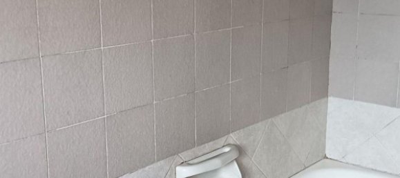 6 rooms House in San Giuliano Terme, Italy No. 203735 12