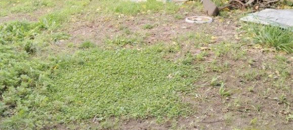 6 rooms House in San Giuliano Terme, Italy No. 203735 21