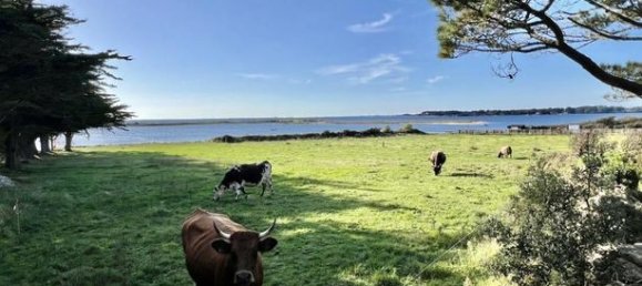 8 غرف نوم فيلا في Locmariaquer, France رقم 315250 7