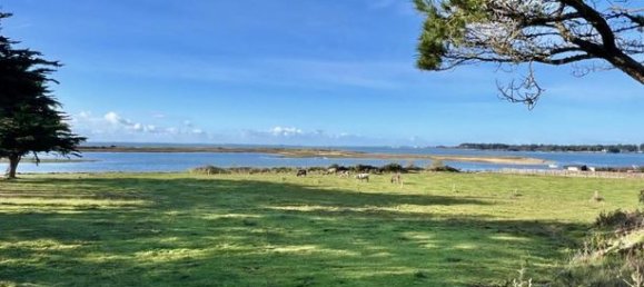 8 غرف نوم فيلا في Locmariaquer, France رقم 315250 13