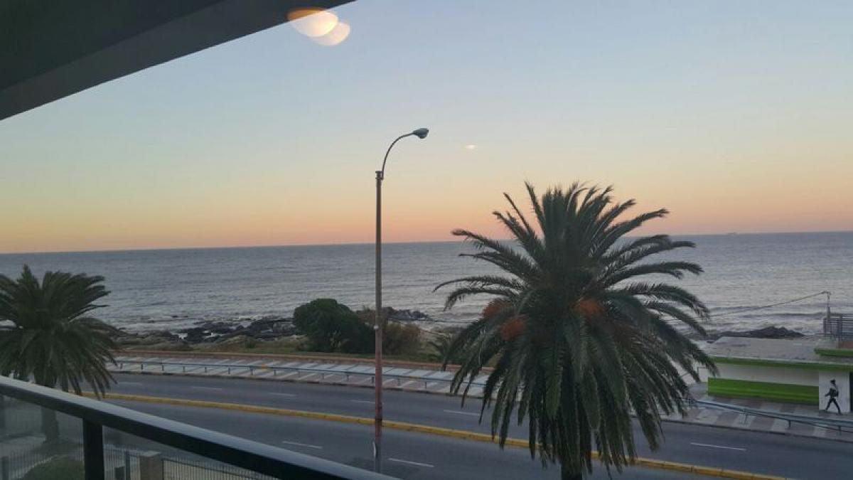 Studio in Montevideo, Uruguay No. 4498