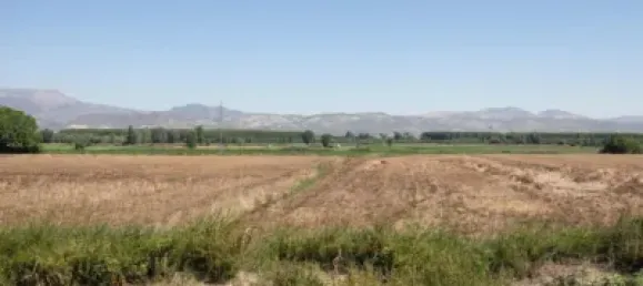 700m² Warehouse in Cijuela, Spain No. 181234 16