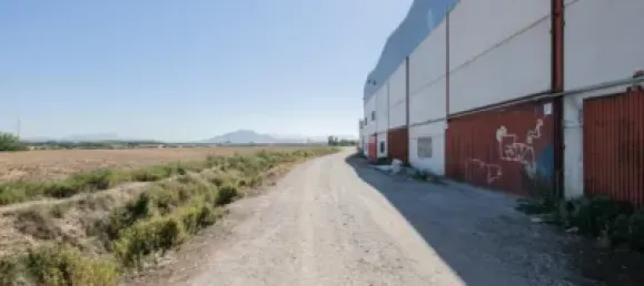 700m² Warehouse in Cijuela, Spain No. 181234 24
