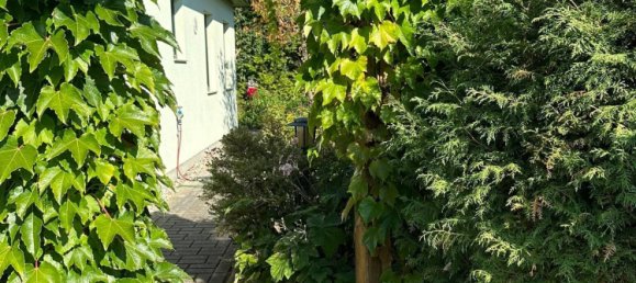 4 rooms Bungalow in Neubrandenburg, Germany No. 51926 17