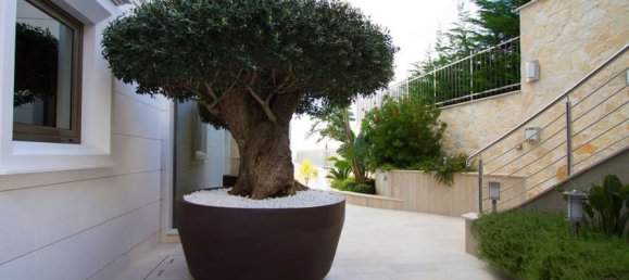 4 bedrooms Commercial property in Budva, Montenegro No. 159 14