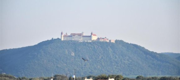 Вилла с 6 комнатами в Хауслайтен, Австрия № 250967 16