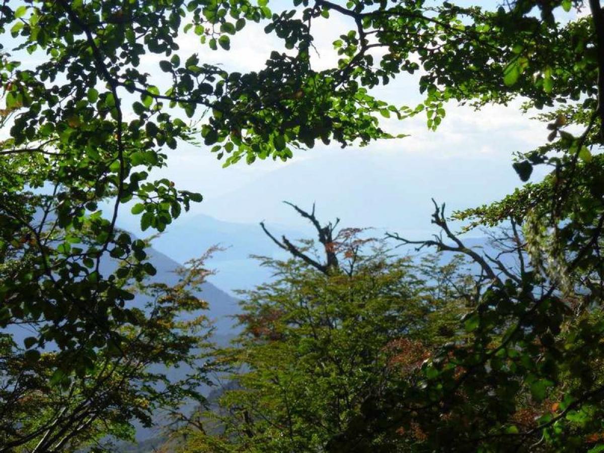  Land in Neuquen, Argentina No. 49116