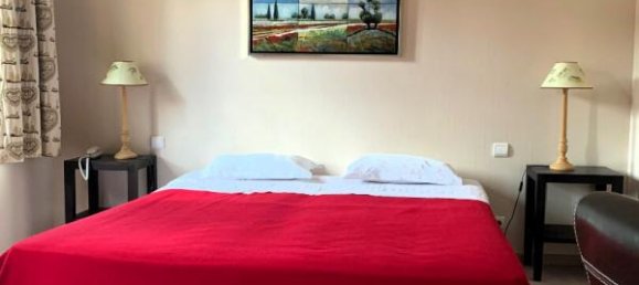18 bedrooms Hotel in Sarrebourg, France No. 274198 43