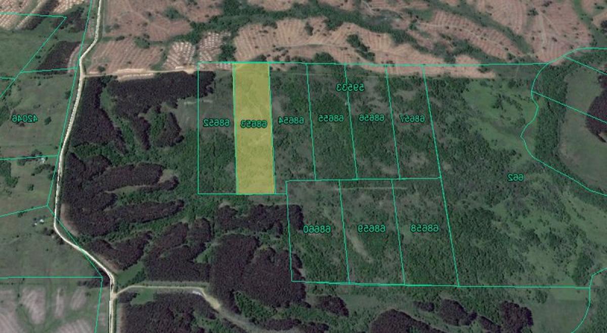 Ферма в Мальдонадо, Уругвай № 14892