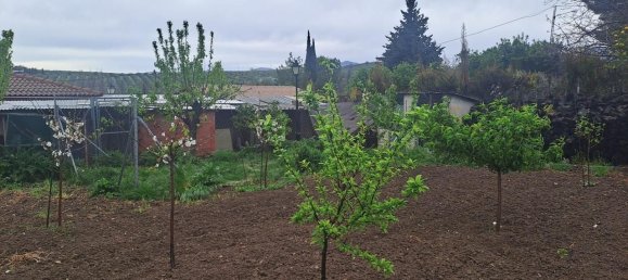 Дом с 3 спальнями в Кордова, Испания № 139099 18