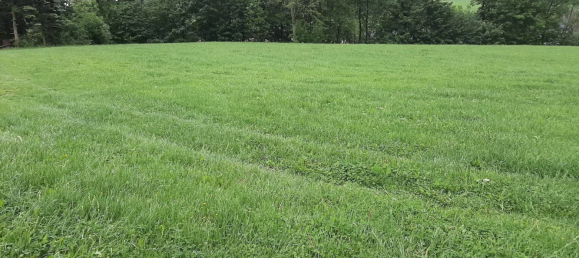 Grundstück in Mittelsachsen, Germany, Nr. 313506 5