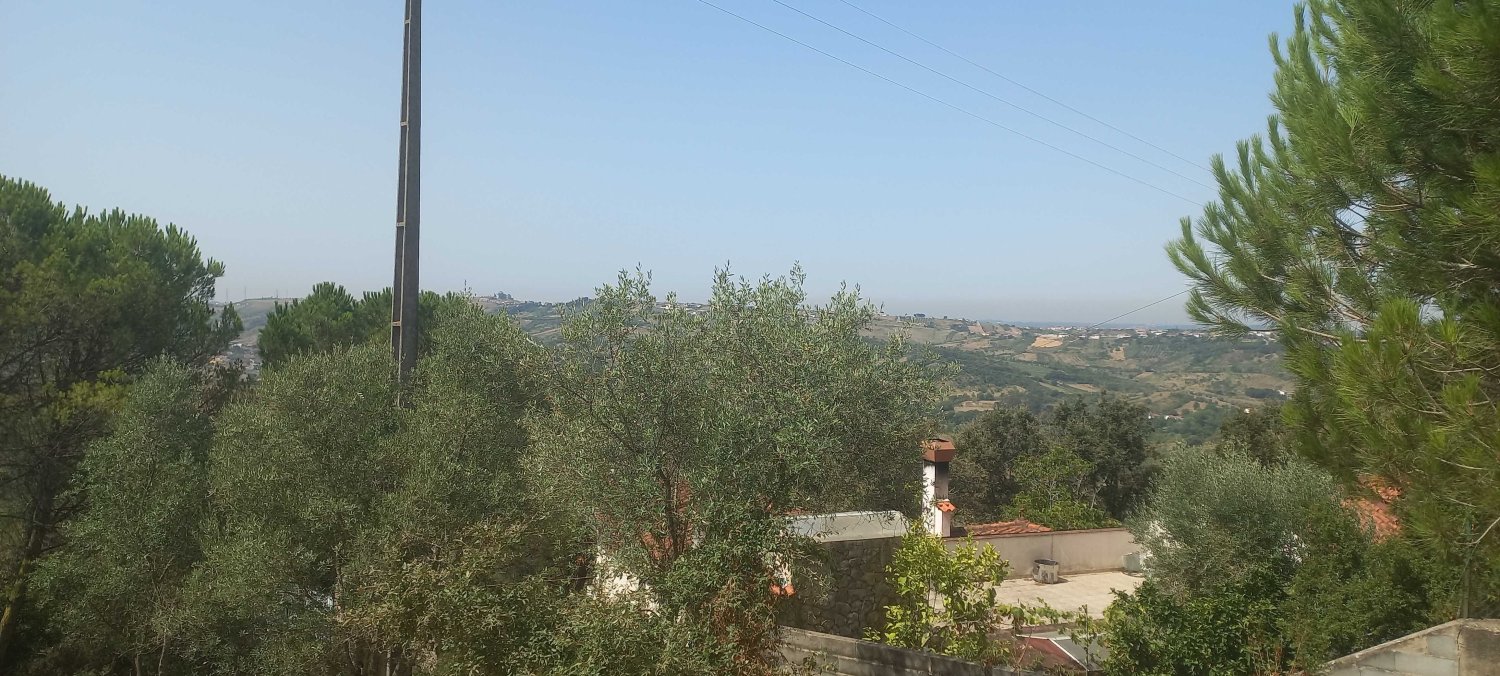  Land in Leiria, Portugal No. 246793