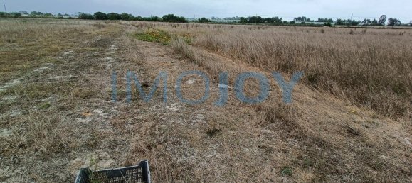 79400m² Land in Sao Teotonio, Portugal No. 52369 7