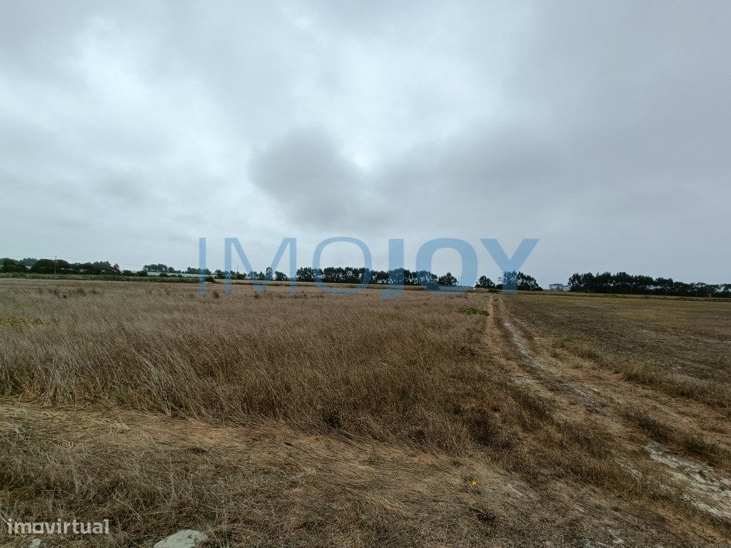 79400m² Land in Sao Teotonio, Portugal No. 52369