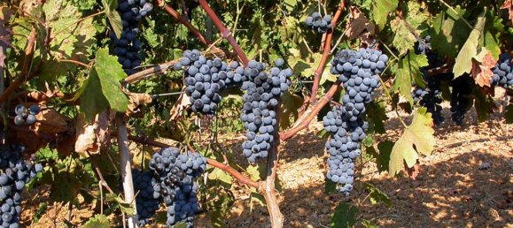 44600m² Hotel in Kranidi, Greece No. 4037 8