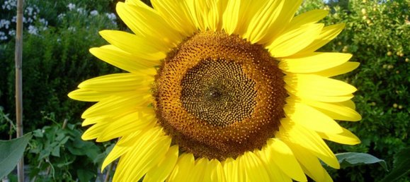 44600m² Hotel in Kranidi, Greece No. 4037 9