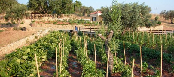 44600m² Hotel in Kranidi, Greece No. 4037 7