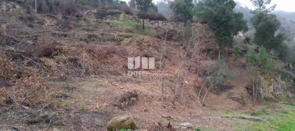 1960m² Land in Marco de Canaveses, Portugal No. 59369 6