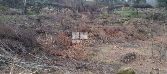 1960m² Land in Marco de Canaveses, Portugal No. 59369 3