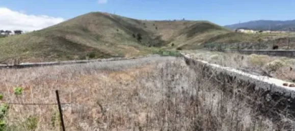 Grundstück in Granadilla de Abona, Spain 21146m², Nr. 169537 15