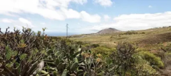 Grundstück in Granadilla de Abona, Spain 21146m², Nr. 169537 23