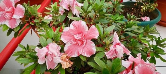 Hôtel à Heredia, Costa Rica 530m² No. 1331 4