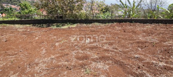 5 chambres Maison à Funchal, Portugal No. 145880 16