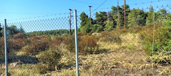 3 bedrooms Property in Chalkidiki, Greece No. 5513 24