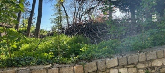 Studio à Schwechat, Austria No. 176006 5