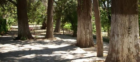 Casa de 8 dormitorios en Guanajuato, Mexico No. 156519 2