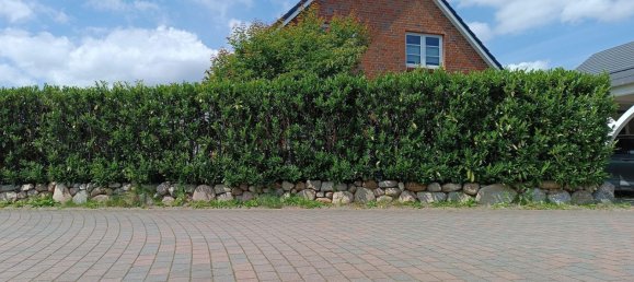 5-salle Maison de ville à Schleswig-Holstein, Germany No. 8380 2