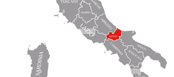 2-Zimmer Haus in Olpe, Germany, Nr. 318250 7